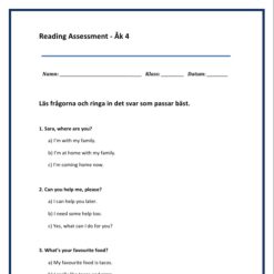 Kartläggning Engelska åk 4 - Fyrpack - Reading, Writing, Listening (med ljudfil), Language Use