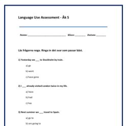 Kartläggning åk 5 Engelska - Language use Assessment (grammatik) Del D
