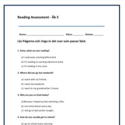 Kartläggning Engelska åk 5 - Fyrpack - Reading, Writing, Listening (med ljudfil), Language Use