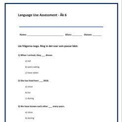 Kartläggning åk 6 Engelska - Language use Assessment Del D
