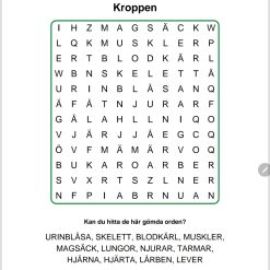 Ordgömma kroppen