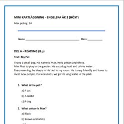 Mini-kartläggning engelska åk 3 – Reading, writing & grammar (Höst)