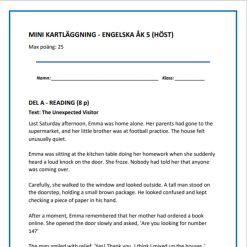 Mini-kartläggning engelska åk 5 – Reading, writing & grammar (Höst)