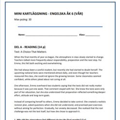 Mini-kartläggning engelska åk 6 – Reading, writing & grammar (Vår)