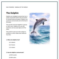 Engelsk läsförståelse 4 texter åk 3-4 - Delfin, tiger, isbjörn och känguru (frågor, ordlista facit)