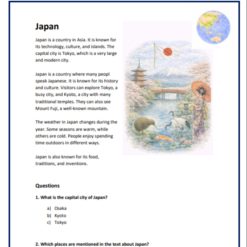 Läsförståelse engelska: Italien, Brazilien, Sydafrika, Japan (åk 4–5)