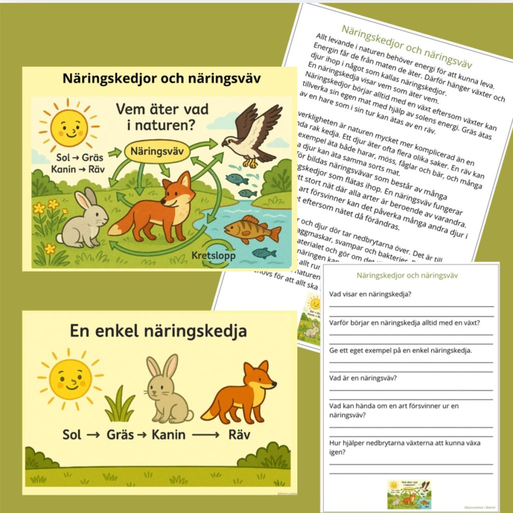 Näringskeddjor och näringsväv