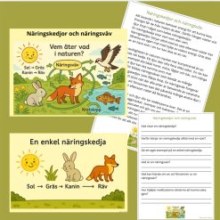 Näringskeddjor och näringsväv