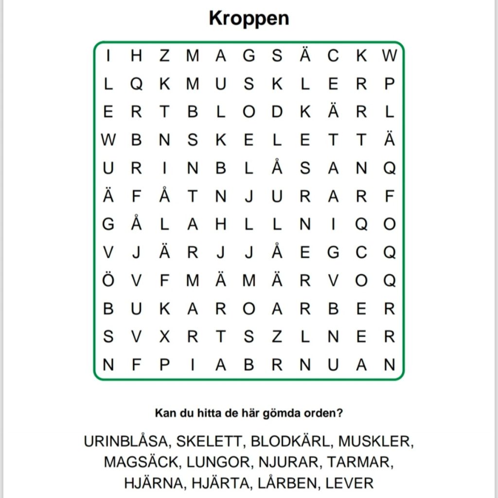 Ordgömma paket