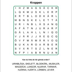 Ordgömma paket