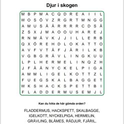 Ordgömma paket