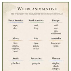 Läsförståelse engelska åk 4–6 – 24 texter om djur (Animals) med frågor och facit
