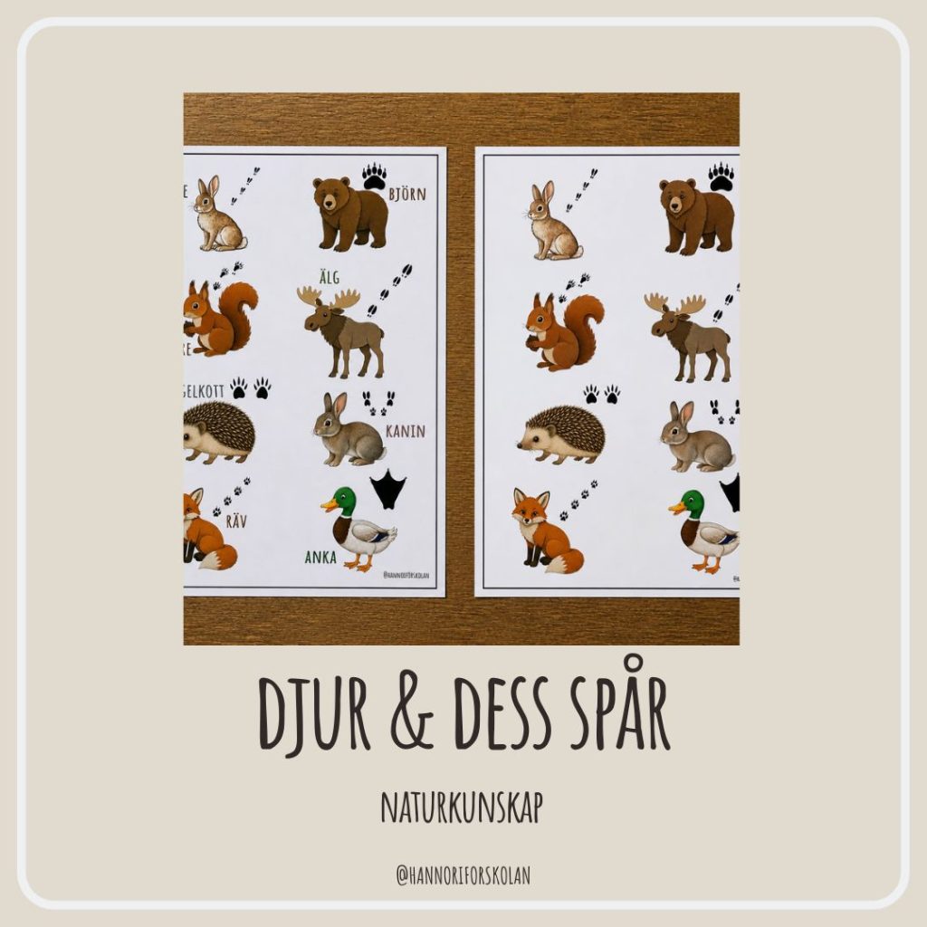 Djur & dess spår