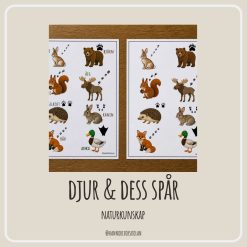 Djur & dess spår