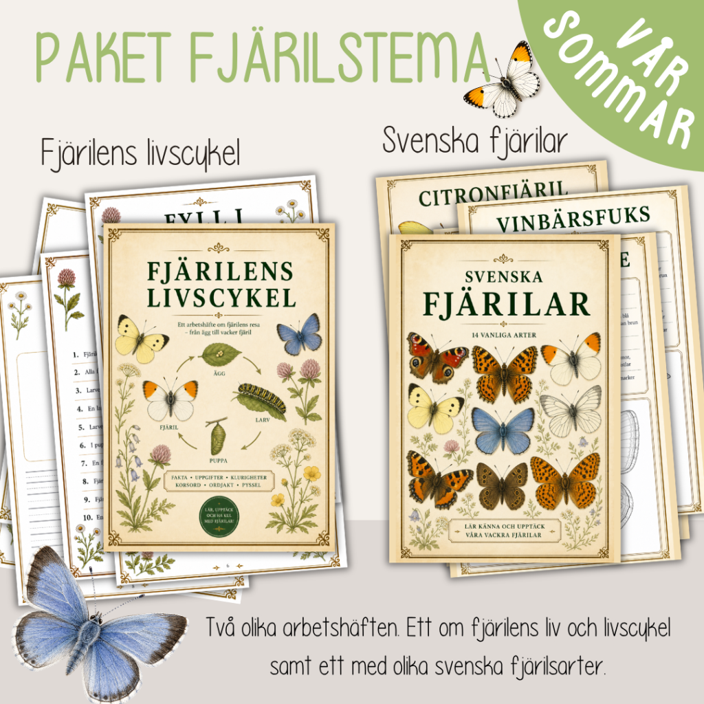 Paket med fjärilstema