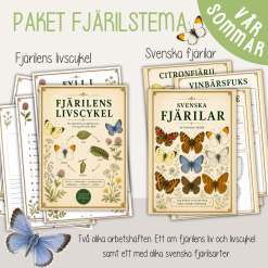 Paket med fjärilstema