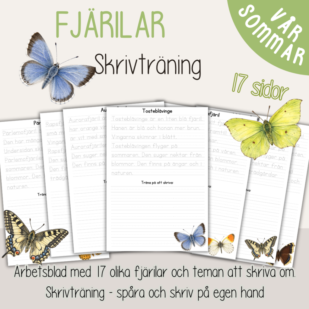 Fjärilar – Skrivträning med fakta om fjärilar och fjärilens livscykel – Vårtema