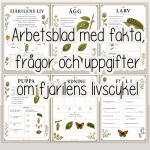 Fjärilens liv och livscykel – arbetshäfte med fakta, uppgifter och pyssel - bild 2