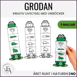 Grodans livscykel | Kreativ och visuell vikbok