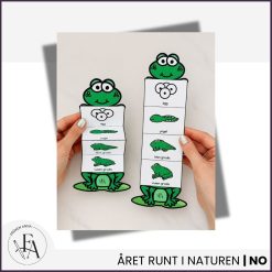Grodans livscykel | Kreativ och visuell vikbok