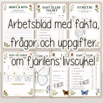 Fjärilens liv och livscykel – arbetshäfte med fakta, uppgifter och pyssel - bild 3
