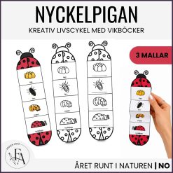 Nyckelpigans livscykel | Kreativ och visuell vikbok