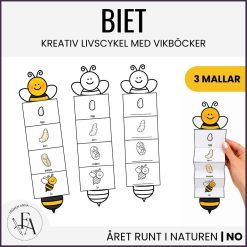 Biets livscykel | Kreativ och visuell vikbok