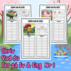 Skriv vad du ser på Svenska och Engelska 1