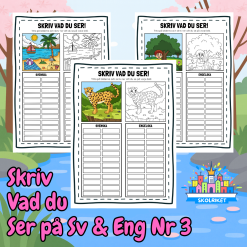 Skriv vad du ser på Svenska och Engelska 3