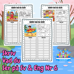 Skriv vad du ser på Svenska och Engelska 6