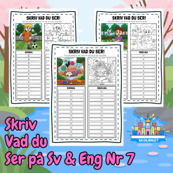 Skriv vad du ser på Svenska och Engelska 7