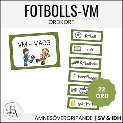 Fotbolls-VM | Ordkort & VM-vägg