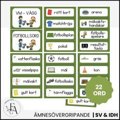 Fotbolls-VM | Ordkort & VM-vägg