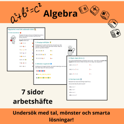 Algebra med fruktmönster