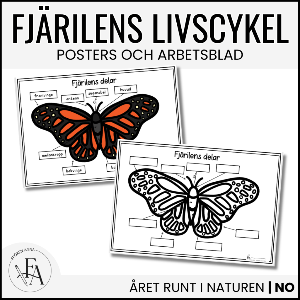 Fjärilens delar: Poster och fyll i själv