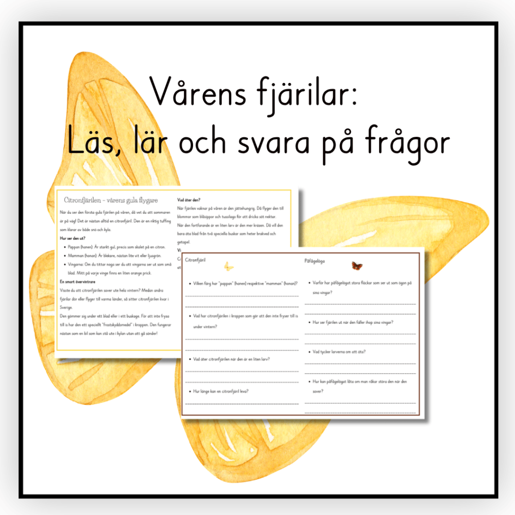 Vårens fjärilar: Läs, lär och svara på frågor