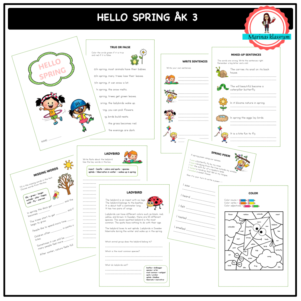 Hello Spring åk 3