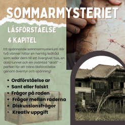 Läsförståelse: Sommarmysteriet