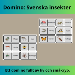 Domino: Svenska insekter