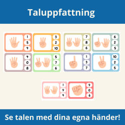 Taluppfattning: Kort