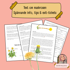 Spännande text om maskrosen 🏵️
