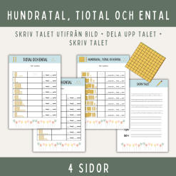 Arbeta med hundratal, tiotal och ental