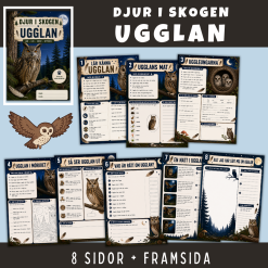 Skogens djur - Ugglan