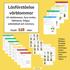Vårblommor - faktatexter och arbetsblad i 4 nivåer
