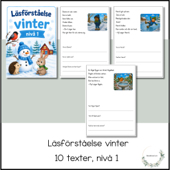 Läsförståelse vinter - nivå 1