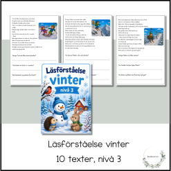 Läsförståelse vinter - nivå 3