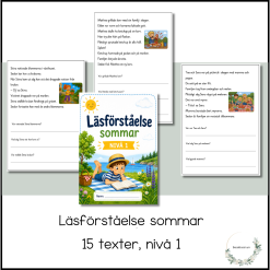 Läsförståelse sommar - nivå 1