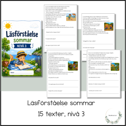 Läsförståelse sommar - nivå 3