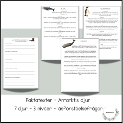Antarktis djur - 7 faktatexter (3 nivåer)