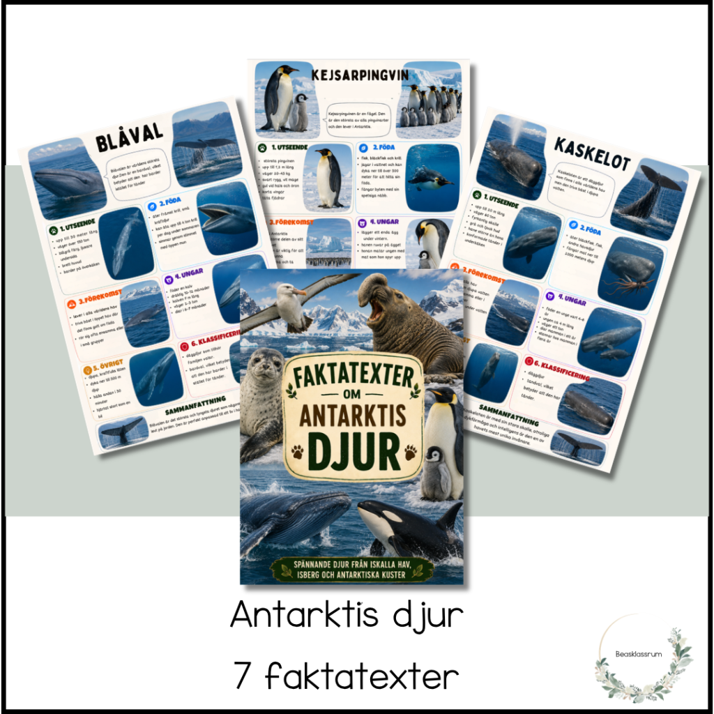 Faktatexter – Antarktis djur